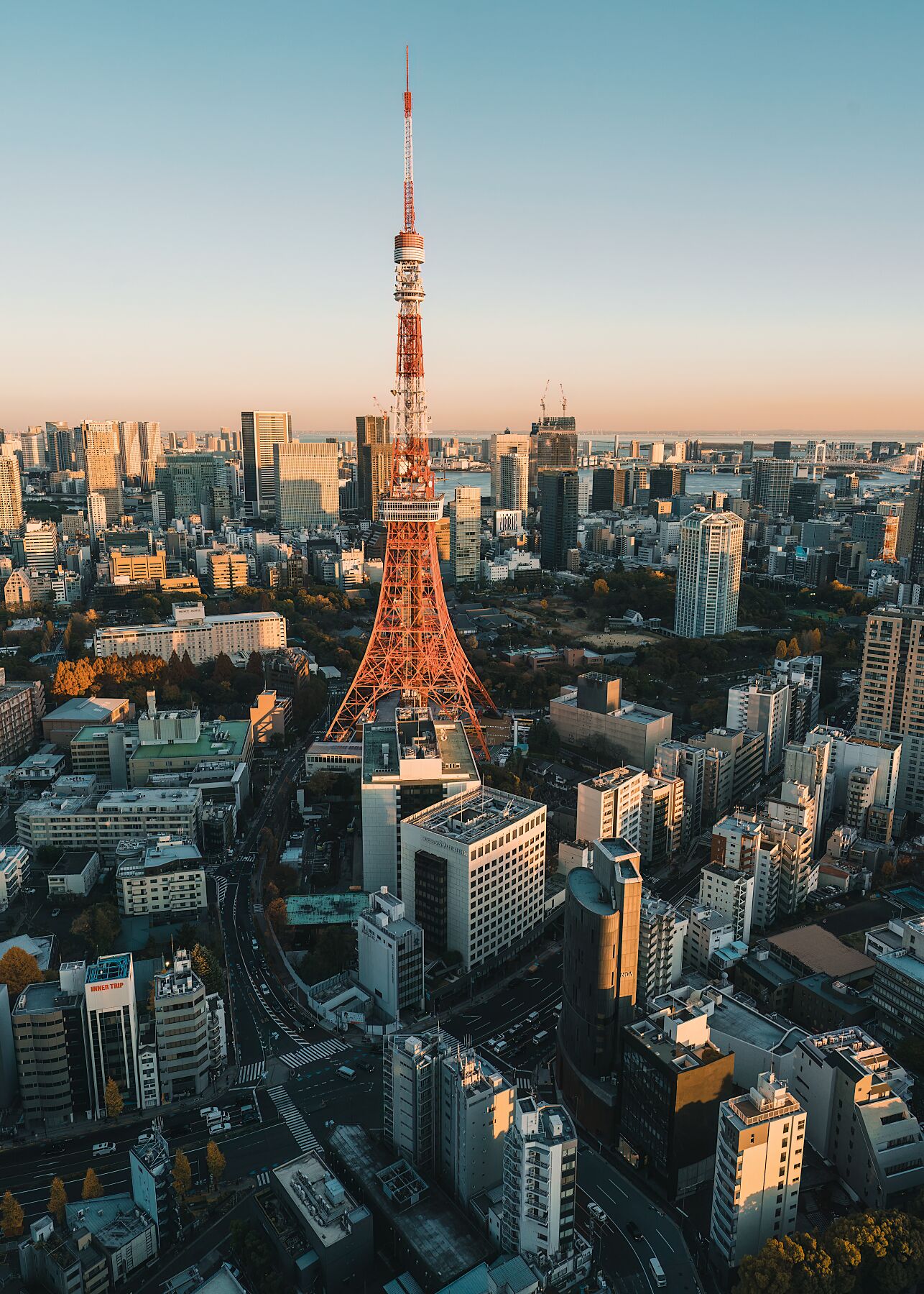 Tower glowing in the golden hour light, surrounded by the Tokyo skyline.